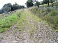 
Lower 1912 incline, West Blaina Red Ash Colliery, August 2010